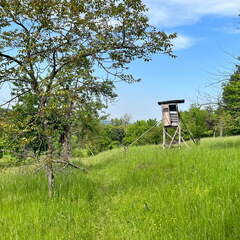 22-05-08 11-19-47 0768